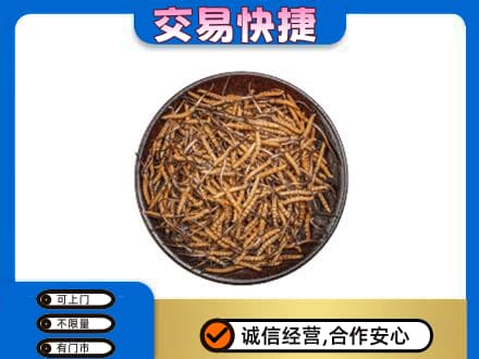 保定市曲阳回收散虫草